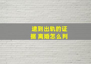 逮到出轨的证据 离婚怎么判